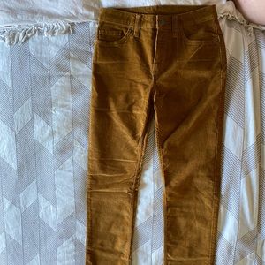 Patagonia womens courderoy pant